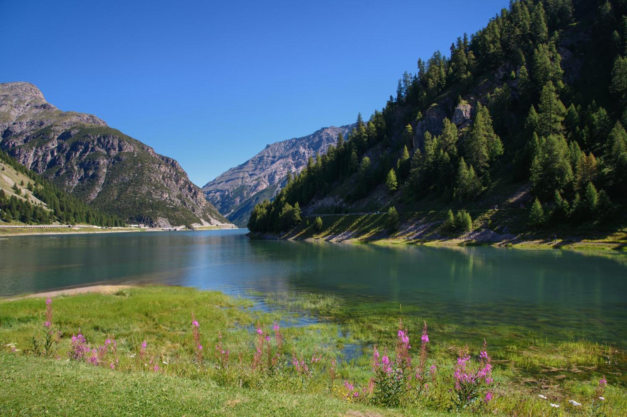 Arianna - Happy Rentals Livigno Exterior foto